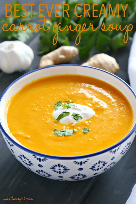 Carrot Ginger Soup Recipe, Vegan Carrot Soup, Creamy Carrot Soup, Carrot Ginger Soup, Ginger Soup, Coconut Soup, Carrot And Ginger, Carrot Soup, Fall Soups