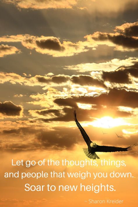 Inspirational quote about soaring to new heights: Let go of the thoughts, things, and people that weight you down. Soar to new heights. #pinterestquotes #inspirationalquotes #soar Soar Quotes, Height Quotes, Let Go, Inspirational Quote, Letting Go, Inspirational Quotes, Let It Be, Quotes, Movie Posters