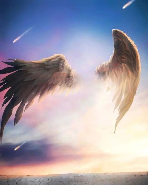 Angel Wings Edit, Vijay Mahar Background, Angel Wings Clip Art, Angel Wings Background, Cb Photo Editing, Vijay Mahar, Angel Wings Painting, Editing Png, Angel Wings Art