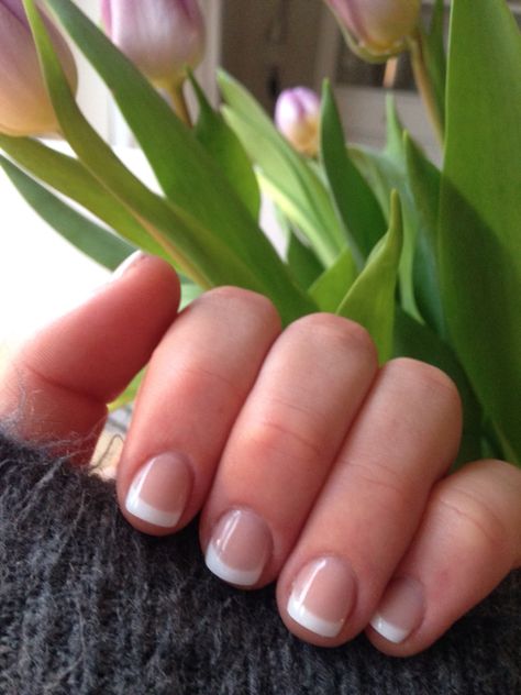 Short Pristine French Nails Short Nails Shellac, Short French Nails, Short French, French Manicure Designs, Short Gel Nails, Gel Nail Art Designs, French Manicure Nails, Super Nails, White French