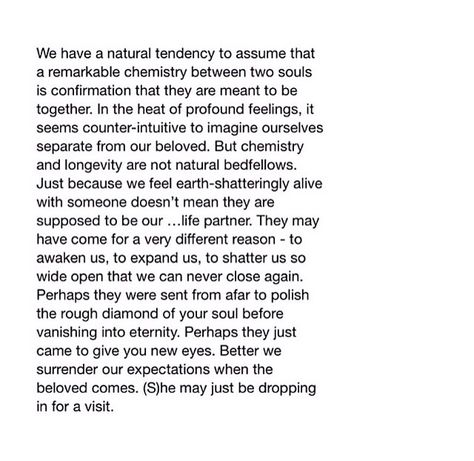 forever soulmates: temporary stay The School For Good And Evil, School For Good And Evil, Soul Connection, Meant To Be Together, Good And Evil, I Can Not, The School, Soulmate, Chemistry