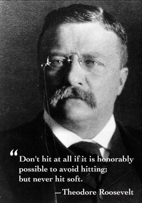 Theodore Roosevelt Quotes Teddy Roosevelt Quotes, Theodore Roosevelt Quotes, Roosevelt Quotes, Quotes About Success, Bull Moose, Success Quote, Teddy Roosevelt, About Success, Historical Quotes