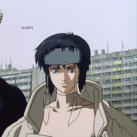 Motoko Kusanagi 1995, Motoko Kusanagi Icon, Kusanagi Motoko, Masamune Shirow, Motoko Kusanagi, East Coast Usa, Anime Nerd, Ghost In The Shell, Hayao Miyazaki