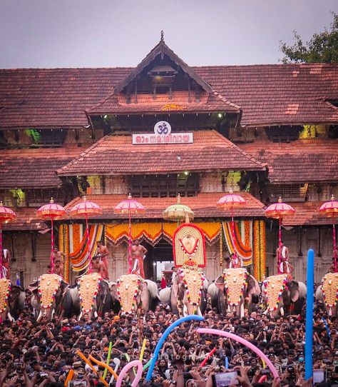 #pooram 2022 #thrissurpooram2022 Thrissur Pooram, India Travel Places, Elephant Images, Elephants Photos, Travel Places, India Travel, Kerala, Places To Travel, Fair Grounds