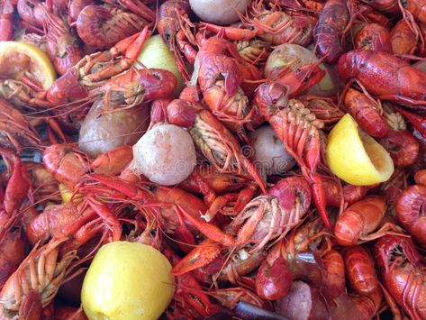 Crawfish boil. Red hot boiled louisiana crawfish with corn potatoes lemons garli , #SPONSORED, #louisiana, #boiled, #corn, #crawfish, #boil #ad Southern Chicken, Louisiana Seafood, Louisiana Crawfish, Spicy Fried Chicken, Boiled Corn, Business Cards Photography, Crawfish Boil, Card Photography, Red Hot