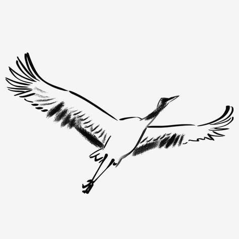 Crane Illustration, Common Crane, White Crane, Food Banner, Clipart Images, Free Png, Line Drawing, Prints For Sale, Png Images