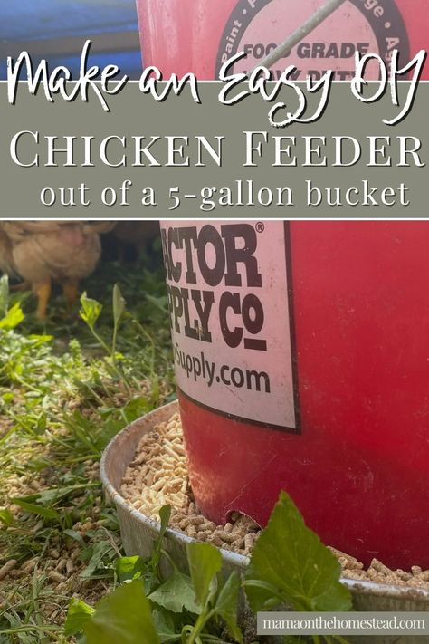 Diy Chicken Waterer 5 Gallon Buckets, Bucket Chicken Feeder, Homemade Chicken Feeder, Diy Chicken Feeder, Chicken Waterer Diy, Chicken Feeder Diy, Five Gallon Bucket, Chicken Bucket, Duck Coop