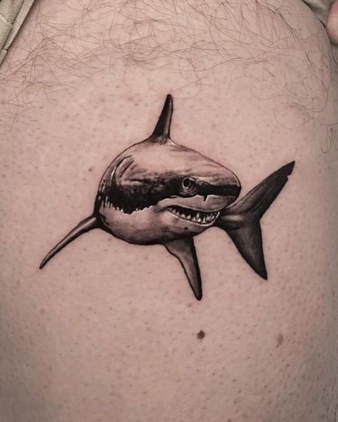 Get ready to dive into the world of shark tattoos and discover their unique symbolism and style. We invite you to learn more about their meaning, as well as choose a design that's right for you. Bruce Shark Tattoo, Scary Shark Tattoo, Great White Shark Tattoo Ideas, Great White Tattoo Shark, Shark Tattoo Watercolor, Shark Tattoos Men, Shark Head Tattoo, Shark Tattoo Arm, Shark Leg Tattoo