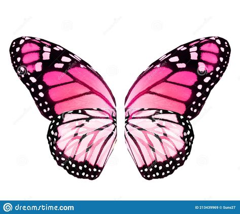 Pink Butterfly Wings, Monarch Butterfly Wings, Costumes 2023, Kite Designs, Wings Drawing, Creation Station, Child Art, Kites, Fairy Wings