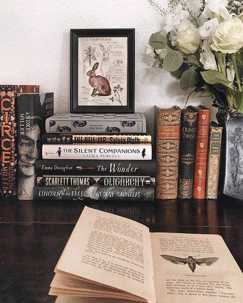 Light Academia Bookshelf, Bookworm Aesthetic, Dark Light Academia, Dark Academia Aesthetic Wallpaper, Academia Aesthetic Wallpaper, Books Lover, Book Corner, Book Pictures, Light Academia Aesthetic