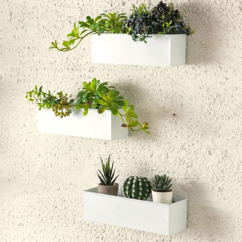 PRICES MAY VARY. 3-PACK SET: These white metal floating planter are 16x4x4 inch. Please check image for detailed dimension to prevent unpleasant experience and potential wastage on resources STRONG METAL: These floating wall planter shelf shelves are strong, durable and lightweight, not breakable that can be used for many years. They are good for indoor and outdoor EASY TO USE: Screws and anchors are provided for wall installation. These long rectangular outdoor succulent planter also can be use Indoor Flower Box, Wall Plant Pot, Planter Shelf, Succulent Wall Planter, Indoor Plant Wall, Wall Mounted Planters, Artificial Plant Wall, Wall Planters, Hanging Plant Wall