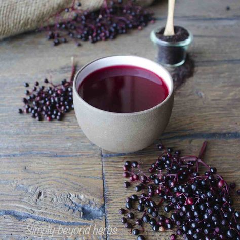 How to make elderberry tea - 4 ways Elderberry Tea Recipe, Vegan Beverages, Elderberry Benefits, Elderberry Tea, Elderberry Recipes, Fermented Veggies, Winter Tea, Recipe Cover, Clam Recipes