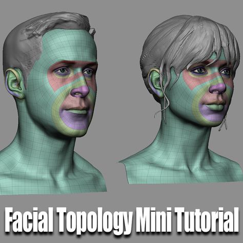 ArtStation - Facial Topology mini tutorial, Tom Parker Face Topology, Rigging Animation, Blender Character Modeling, Planes Of The Face, Maya Modeling, Zbrush Character, Eye Texture, Female Base, Face Anatomy