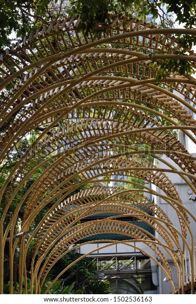 Arch Bamboo Frame Canopy Stock Photo 1502536163 | Shutterstock Bamboo Installation, Bamboo Canopy, Shade Trellis, Bamboo Arch, Bamboo Ideas, Bamboo Roof, Pavilion Architecture, Bamboo Structure, Bamboo Architecture