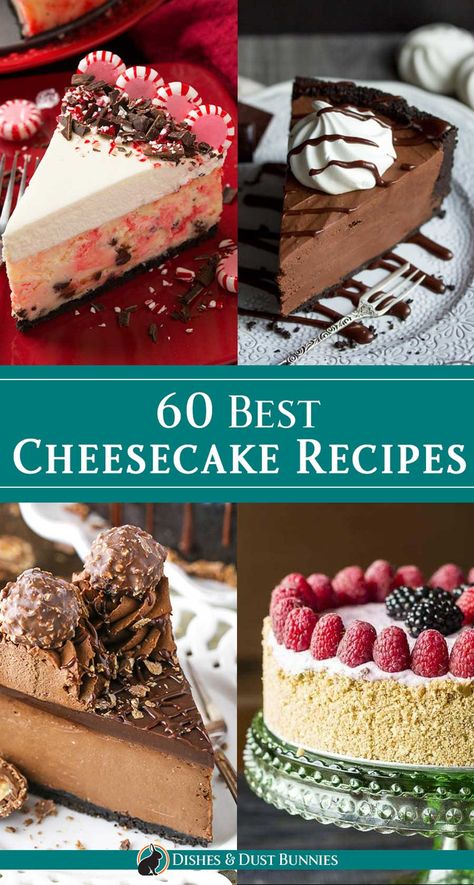 Different Flavor Cheesecake Recipes, Cooked Cheesecake Recipes, Unusual Cheesecake Recipes, Cheesecake Flavours Ideas, Uncooked Cheesecake Recipes, Best Christmas Cheesecake Recipes, Different Kinds Of Cheesecake, Pretty Cheesecake Designs, Fun Cheesecake Flavors