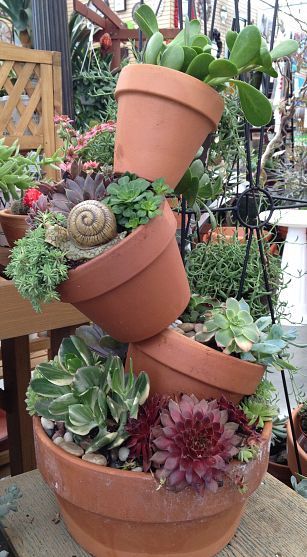 Tree of Terracotta Pots filled with Hens and Chicks, Sedum & other Succulents Grow Garden, Patio Plans, Flower Tower, Garden Junk, Dish Garden, Succulent Gardening, Succulents In Containers, Unusual Things, Garden Containers