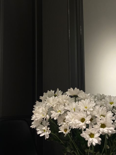 Flowers aesthetic Aesthetic Flowers Black And White, White Chrysanthemum Aesthetic, Chrysanthemum Wallpaper Aesthetic, Zaffre Aesthetic, Flowers Aesthetic Black And White, Flowers At Night Aesthetic, Black And White Flower Aesthetic, Chrysanthemums Aesthetic, Black And White Aesthetic Flowers