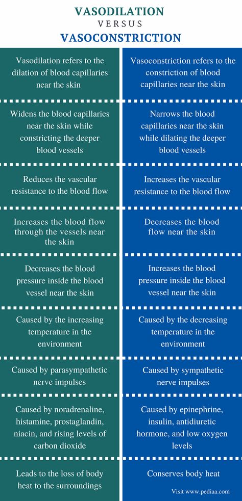 Difference Between Vasodilation and Vasoconstriction - Comparison Summary Vasoconstriction And Vasodilation, Vtne Study, Teas Exam, Vet Nursing, Cardiac Sonography, Vet Tech School, Vet Tech Student, Vet Medicine, Nurse Study Notes