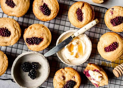 Blackberry Cornbread Muffins Blackberry Cornbread, Blackberry Cream Cheese, Honey Butter Recipe, Whipped Honey, Blackberry Recipes, Cake Base, Cornbread Muffins, Sweet Dough, Vanilla Glaze