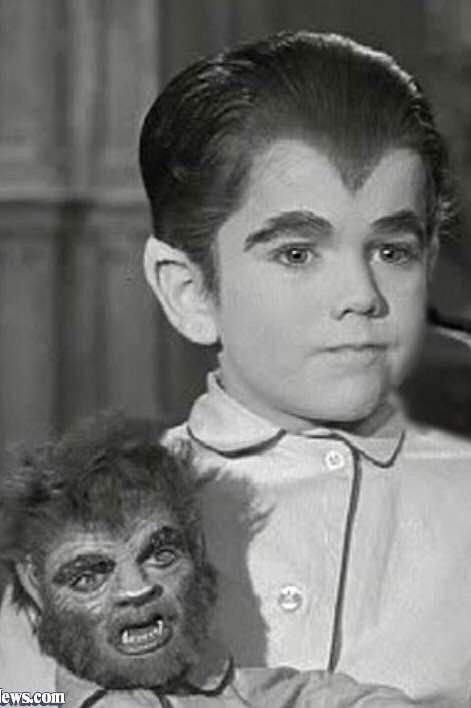 Herman Monster, Grandpa Munster, Munster Family, Marilyn Munster, The Addams Family Halloween, Munsters Tv Show, Rock Monster, Frankenstein 1931, Eddie Munster