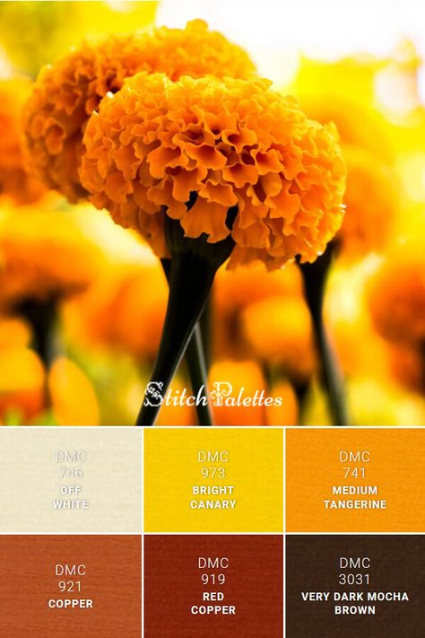 Brown Red Yellow Color Palettes, Canary Yellow Color Palette, Red Yellow White Color Palette, Stitch Palette, Dark Academia Color Palette, Stitch Palettes, Coral Colour Palette, Color Palette Yellow, Brown Color Palette