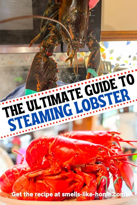 If you're a seafood lover, there's nothing quite like indulging in a juicy and succulent lobster. But figuring out how to cook lobster can be intimidating, even for seasoned foodies. That's why we're giving you the ultimate guide to steaming lobster, straight from a lobster lover living in Maine. From selecting the perfect lobster to getting the water temperature just right, we're sharing all our tips and secrets to achieve the most delicious and tender lobster you've ever tasted. Seafood Lunch, Steamed Lobster, Lobster Boil, Outdoor Cooker, Seafood Entrees, How To Cook Lobster, Hearty Comfort Food, Lobster Recipes, One Pot Pasta