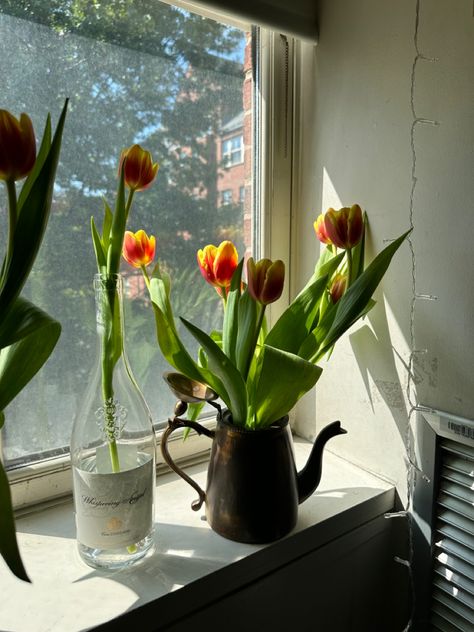 windowsill flowers sunlight aesthetic dorm Flowers On Windowsill, Windowsill Aesthetic, Windowsill Flowers, Sunlight Aesthetic, Windowsill Decor, House Aesthetics, Window Sill Decor, Indie Room Decor, Indie Room