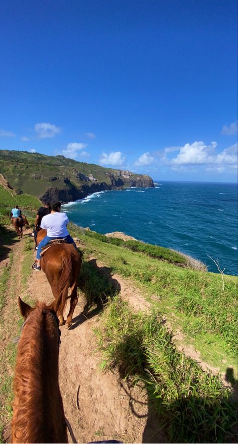 #aesthetic #ocean #hawaii #horseriding #vacation Animals In Hawaii, Hawaii Horseback Riding, Horses In Hawaii, Livestock Vet, Hawaii Animals, Hawaii Ranch, Hawaii Farm, Aesthetic Hawaii, Maui Hawaii Vacation