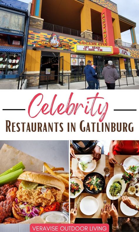 The Best Celebrity Restaurants In Gatlinburg • Ole Red Gatlinburg- Blake Shelton • Chicken Guy- Guy Fieri • Coming soon Jason Aldean's Kitchen Rooftop Bar Pigeon Forge Restaurants, Gatlinburg Restaurants, Gatlinburg Tennessee Vacation, Open Restaurant, Gatlinburg Vacation, Gatlinburg Tennessee, Gatlinburg Tn, Food Spot, Guy Fieri