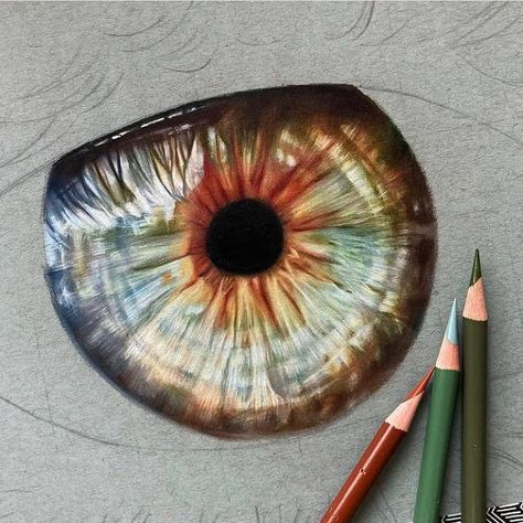 Art Featuring Page🔥🖌️ on Instagram: “Eye✨| Comment your thoughts!!👇 ➖➖➖➖➖➖➖➖➖➖➖➖➖➖➖➖ ✔️𝐑𝐚𝐭𝐞 𝐭𝐡𝐢𝐬 𝐟𝐫𝐨𝐦 1-10 💖𝐓𝐚𝐠 𝐲𝐨𝐮𝐫 𝐟𝐫𝐢𝐞𝐧𝐝𝐬❤️ ➖➖➖➖➖➖➖➖➖➖➖➖➖➖➖➖ 🎨𝐀𝐫𝐭𝐢𝐬𝐭: @artbyxander…” Pencil Art Realistic, Color Pencil Art Realistic, An Eye Drawing, Iris Drawing, Colored Pencil Art Projects, Eyeball Art, Prismacolor Art, Colored Pencil Artwork, Colored Pencil Techniques