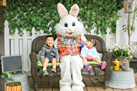 Easter Bunny Photo Booth, Easter Bunny Photoshoot, Easter Bunny Photo Backdrop, Easter Family Pictures, Easter Photo Backdrop, Easter Bunny Pictures, Easter Photography, Easter Photoshoot, Easter Backdrops