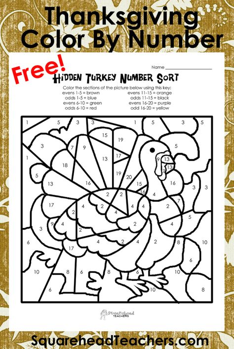 Thanksgiving Color By Number (odd/evens sort) | Squarehead Teachers Thanksgiving Multiplication Worksheets, Thanksgiving Math Worksheets Free, Thanksgiving Multiplication, Activities For 1st Graders, Thanksgiving Math Worksheets, Turkey Math, Thanksgiving Math Activities, Math Coloring Worksheets, Thanksgiving Worksheets