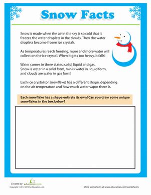 Snow Facts For Preschoolers, Snowflake Science, Snow Facts, Snowflakes Science, Science Kindergarten, Daisy Room, 1st Period, Snow Ideas, Plants Worksheets