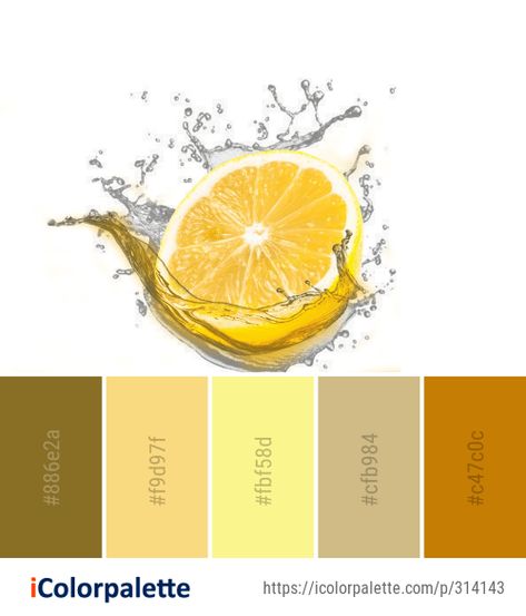 Grapefruit Colour Palette, Lemon Pallete Color, Tropical Fruit Color Palette, Citrus Palette, Citrus Color Palette, Valdrin Sahiti, Color Palette Ideas, Food Fruit, Palette Ideas