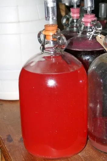 Rowan Berry, How To Make Moonshine, Rowan Berries, Welsh Recipes, Wine Yeast, Wine Recipe, Empty Glass Bottles, Foraged Food, Berry Juice