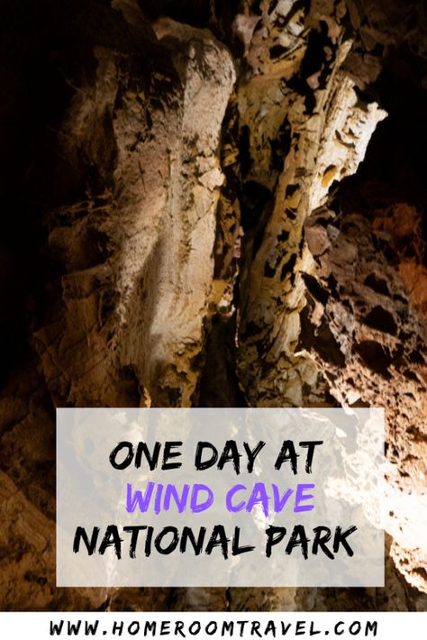 Wind Cave National Park is a hidden gem located in southwestern South Dakota. One day at Wind Cave National Park will show you all it has to offer. From hiking, to touring the cave, and animals roaming about, you will be in for a unique experience at Wind Cave NP. Nearby is Mount Rushmore, Jewel Cave NM, Crazy Horse, and Badlands NP. #windcavenp #southdakota #usnationalparks #southdakotaroadtrip #custer #hotsprings Jewel Cave, South Dakota Road Trip, South Dakota Vacation, South Dakota Travel, Wind Cave National Park, Carlsbad Caverns National Park, Custer State Park, Cave Tours, Badlands National Park