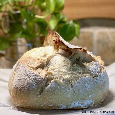 Sourdough Bread Using A Levain Levain Bread Recipe, Bake Sourdough Bread, Dough Starter, Vital Wheat Gluten, Sour Dough, Perfect Pasta, Family Favorite Meals, Sourdough Starter, Loaf Bread