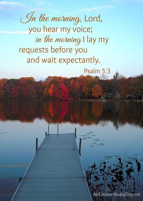 In the morning, Lord, you hear my voice; in the morning I lay my requests before you and wait expectantly. Psalm 5:3 #spiritualinspiration #scriptureverses #growinginfaith Funny Quotations, Inspirational Morning Prayers, Psalm 5 3, Blessed Trinity, Morning Scripture, Quiet Quotes, Psalm 5, Childlike Faith, Favorite Verses