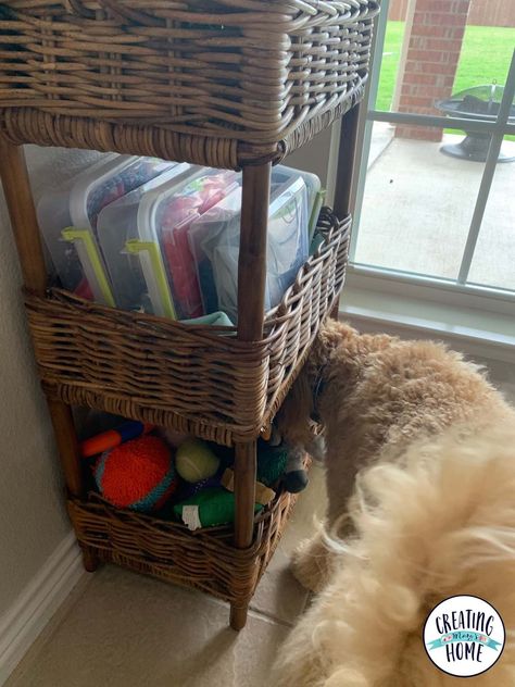 How To Store Dog Stuff, Organizing Dog Stuff, Organize Dog Stuff, Dog Gear Organization, Dog Supplies Organization, Pet Supplies Organization, Cleaning Dogs Ears, Funny Nature, Dog Organization