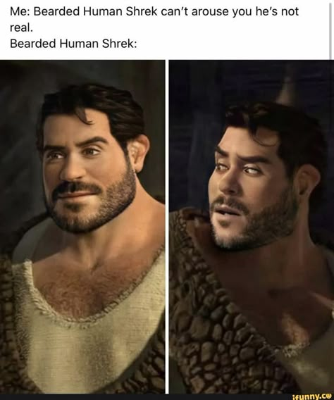 Human Shrek, Noxus League Of Legends, Shrek Memes, Romantic Good Night, Shrek, Disney And Dreamworks, Dreamworks, Dankest Memes, Funny Images