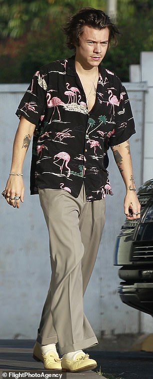 Harry Styles Hawaiian Shirt, Styling Vintage Shirts, Tropical Shirt Outfits Men, Harry Styles Summer Outfit, Harry Style Outfits, Harry Styles Fashion Casual, Hawian Shirt Outfits, Hawaiian Shirt Outfit Mens Aesthetic, Harry Styles Casual Outfit