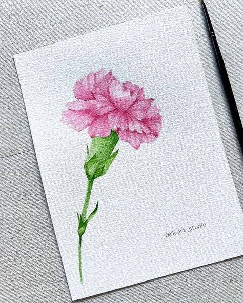 Carnation Painting Easy, How To Draw A Carnation, Watercolour Carnation, Carnation Flower Drawing, Carnation Painting, Carnation Drawing, Carnation Colors, Watercolour Challenge, Baby Sketch