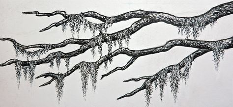 Spanish Moss | by Stampscapes Spanish Moss Illustration, Moss Ink Drawing, Oak Tree With Spanish Moss Tattoo, Spanish Moss Drawing, Spanish Moss Tree Tattoo, Moss Tree Tattoo, Moss Tattoo Design, Moss Tattoo Nature, How To Draw Moss