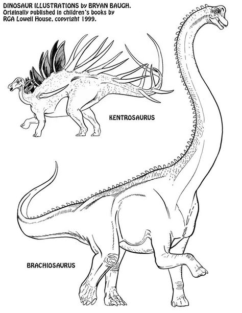 Kentrosaurus & Brachiosaurus. Brachiosaurus Drawing, Die Hard Movie, Dino Drawing, Dino Art, Dinosaur Images, Dinosaur Drawing, Dinosaur Illustration, Ancient Animals, Prehistoric Art