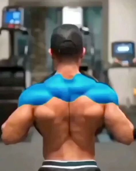 Killer Shoulder Workout, Back Workout Bodybuilding, Push Workout, Push Day, Shoulder Day, Workout Stuff, Gym Aesthetic, Daily Workouts, Training Workouts