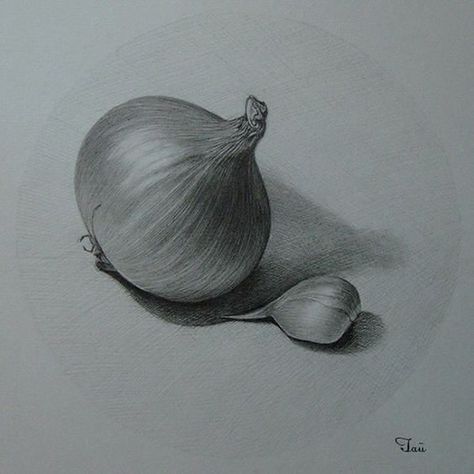 Onion Drawing, Still Life Sketch, Pencil Drawing Ideas, Vegetable Drawing, Shading Drawing, Life Sketch, Stippling Art, Fruits Drawing, Pencil Sketch Drawing