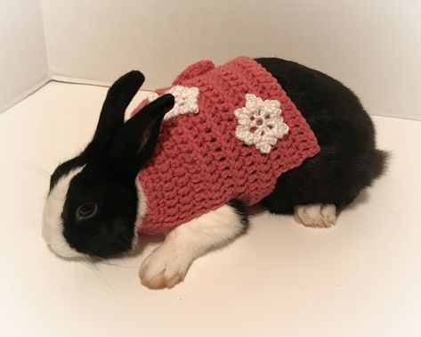 Rabbit Christmas sweater, with two white snowflakes on it, to have fun dressing your pet rabbit up for the holidays. It fits over their head, and then the bottom wraps up and attaches by a button on the side. It is adjustable around the stomach. Please make sure to measure your rabbit before ordering, as because of sanitary reasons, I do not accept returns or exchanges. If your rabbit does not match up to these measurements, I can make a custom sized sweater for an extra charge. Message me to se Cat Sweater Pattern, Crochet Pattern Rabbit, American Fuzzy Lop, Bunny Clothes, Pet Clothes Patterns, Rabbit Christmas, Rabbit Clothes, Rabbit Costume, Clothes Sweater