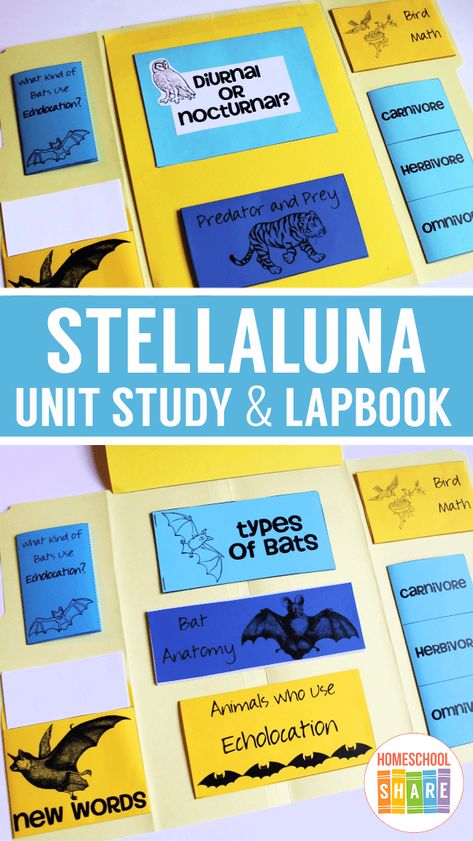 Stellaluna Unit Study & Lapbook – Homeschool Share Stellaluna Activities, Homeschool Science Lessons, Diurnal Animals, All About Bats, Tutorial Class, Read Aloud Activities, Stella Luna, Toddler Class, 3rd Grade Reading