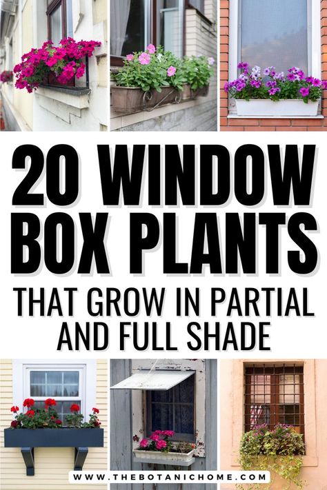 Beautiful shade-tolerant flowers in a shaded window box. Shade Window Box Ideas, Planter Box Ideas Flowers, Flowers For Flower Boxes, Flower Boxes Outside, Best Plants For Window Boxes, Flowers For Planters, Plants For Window Boxes, Box Planter Ideas, Diy Window Box Planter