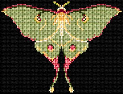 Simple Cross Stitch Moth, Cubone Cross Stitch, Pixel Moth Pattern, Luna Moth Cross Stitch Pattern, Cross Stitch Patterns Pixel, Moth Grid Pattern, Lunar Moth Pixel Art, Luna Moth Pixel Art, Square Pixel Pattern